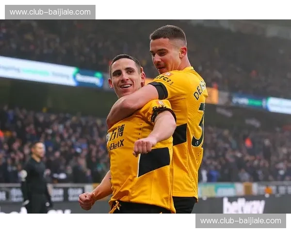 铁血意志的对冲:当“vs狼队”成为一种精神图腾与战术博弈的巅峰 铁血意志的对冲:当“vs狼队”成为一种精神图腾与战术博弈的巅峰